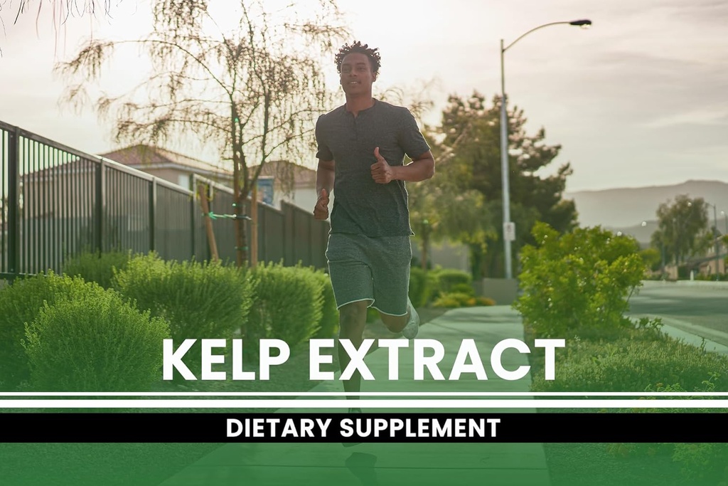 Pure Original Ingredients Kelp Extract (365 Capsules) No Magnesium Or Rice Fillers, Always Pure, Lab Verified 5