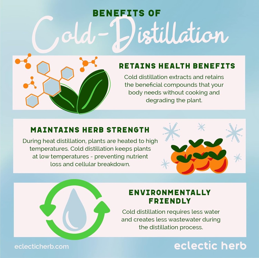 Eclectic Institute Kids Herbs Lemon Balm, Lemon Flavor | Calming and Nervous System Support | 1 fl oz (30 ml) 6