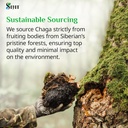 Sayan Siberian Chaga Mushroom Extract – 90 Capsules/420mg ea – Natural & Wild-Harvest Antioxidant Supplement – Immune System Support & Regulate Body Functions – Vegan, Non-GMO, No Fillers or Additives 6