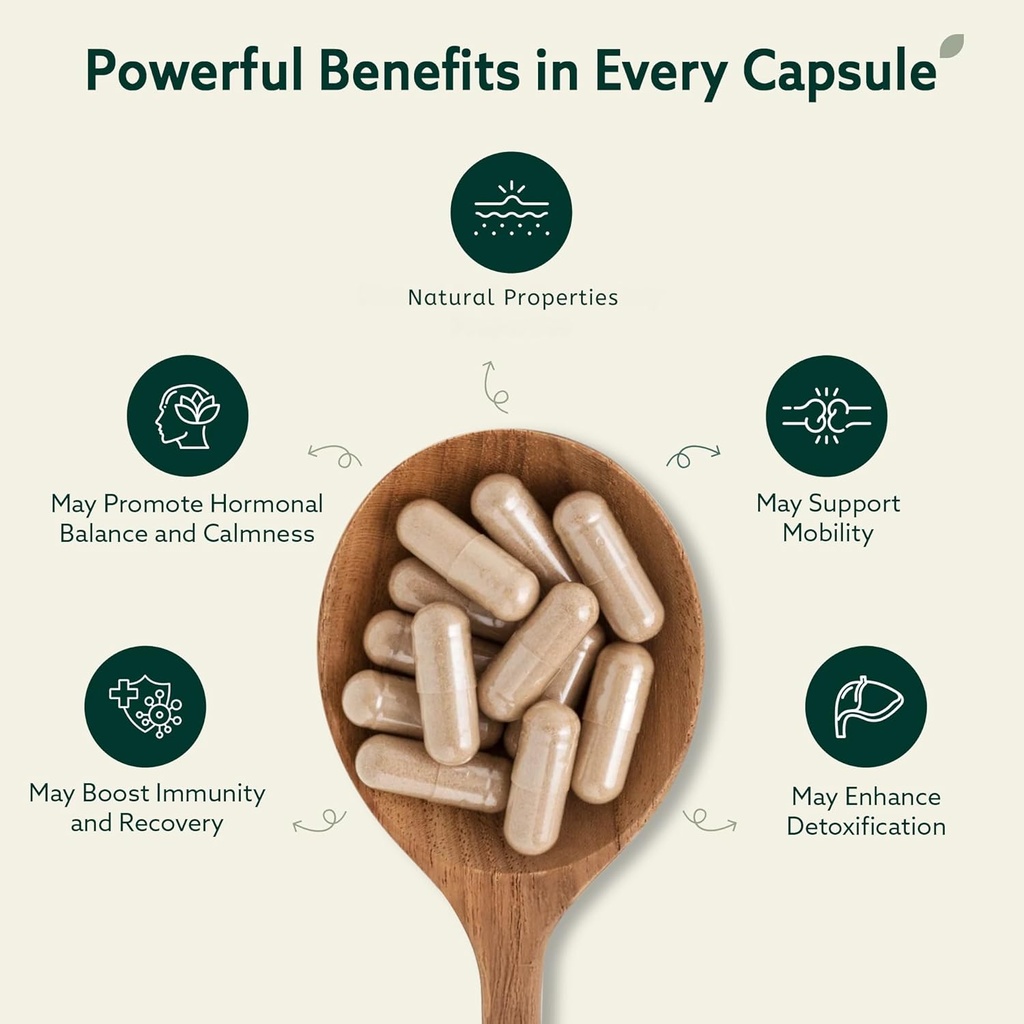 Burdock Root Organic and Bladderwrack 10 in 1 Immunity Booster Power Blend with Irish Sea Moss, Ashwagandha and Black Seed Supplement for Men and Women, Seamoss Pills Herbal, Vegan - 60 Capsules 5