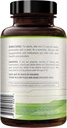 500mg SAM-e Supplement - High Strength 500mg S-Adenosyl-L-Methionine Capsules for Brain Liver and Mood Support - Non-GMO High Absorption Same Supplement (Single) 3