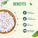 500mg SAM-e Supplement - High Strength 500mg S-Adenosyl-L-Methionine Capsules for Brain Liver and Mood Support - Non-GMO High Absorption Same Supplement (Single) 6