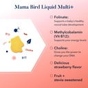 Best Nest Wellness Mama Bird Liquid Multi Plus - Liquid Multivitamin for Brain & Energy Support Methylated Vitamins - Gentle Digestive Health Formula - Strawberry, 16 fl oz (60 Servings) 4