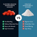 Creatine Gummies | 5g Creatine in 2 Gummies | Zero Sugar Creatine Monohydrate | 3rd-Party Lab Tested | Clean Ingredients 5