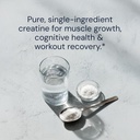 Blueprint Bryan Johnson Creatine Monohydrate Powder – Amino Acid Powder - Suppliment Supports Muscle Growth, Recovery, Strength & Focus – Unflavored Creatine for Women & Men – 5g Dose – 100 Servings 6