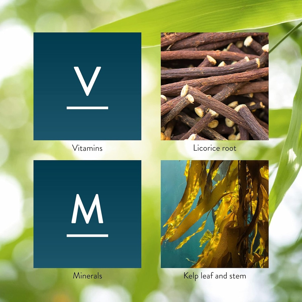 Nature's Sunshine Master Gland, 120 Capsules | Provides Complete Nutritional Support for Every Gland in the Body, Helps Support Energy Metabolism 6