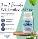 Elderwise Sea Moss Capsules - Sea Moss with Burdockroot & Bladderwrack - Superfood Supplement - 60 Vegan Capsules - 30 Day Supply - Dosage 2 a Day - 1400 mg 3