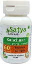 Kanchnar Forte Capsules 500 mg. 60 Veg. Capsule | Kanchnar (Bauhinia Variegata) Extract Capsules for Men and Women | Ayurvedic Herbal Supplement/Remedies | 10:1 Forte (1 Bottle of 60 Capsules) 2