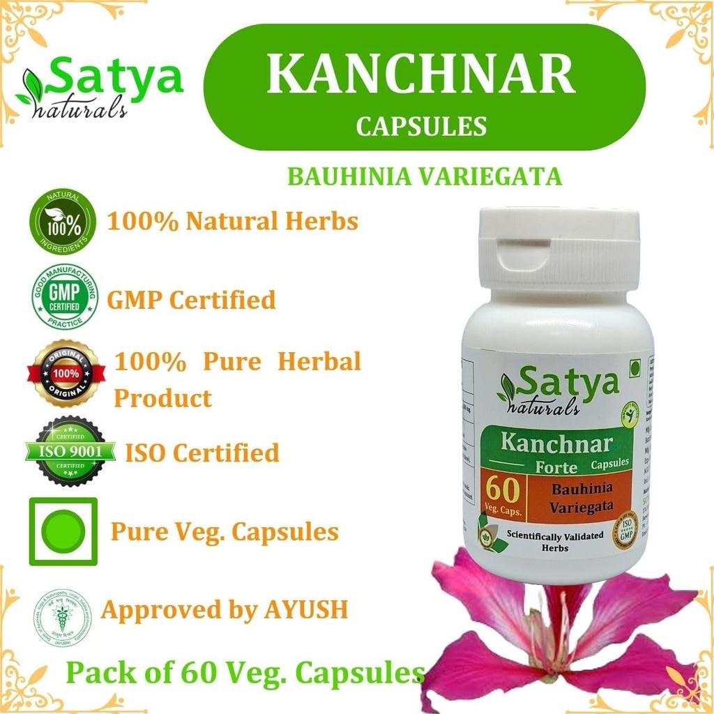 Kanchnar Forte Capsules 500 mg. 60 Veg. Capsule | Kanchnar (Bauhinia Variegata) Extract Capsules for Men and Women | Ayurvedic Herbal Supplement/Remedies | 10:1 Forte (1 Bottle of 60 Capsules) 6