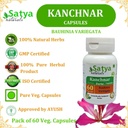 Kanchnar Forte Capsules 500 mg. 60 Veg. Capsule | Kanchnar (Bauhinia Variegata) Extract Capsules for Men and Women | Ayurvedic Herbal Supplement/Remedies | 10:1 Forte (1 Bottle of 60 Capsules) 6