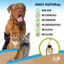 natural-intestinal-defense-for-dogs-cats-6.jpg
