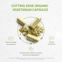 Secrets of the Tribe Hyssop USDA Organic Capsules | Certified Organic Vegetarian Capsules, Herbal Dietary Supplement | Hyssopus officinalis Dried Herb (60 Count) 3