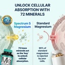 Spectrum 5 Magnesium | 5-in-1 Complex + 72 Trace Minerals for Enhanced Absorption | Irish Sea Sourced | 500mg per Serving | Made in USA, Third Party Tested, GMP Certified 5