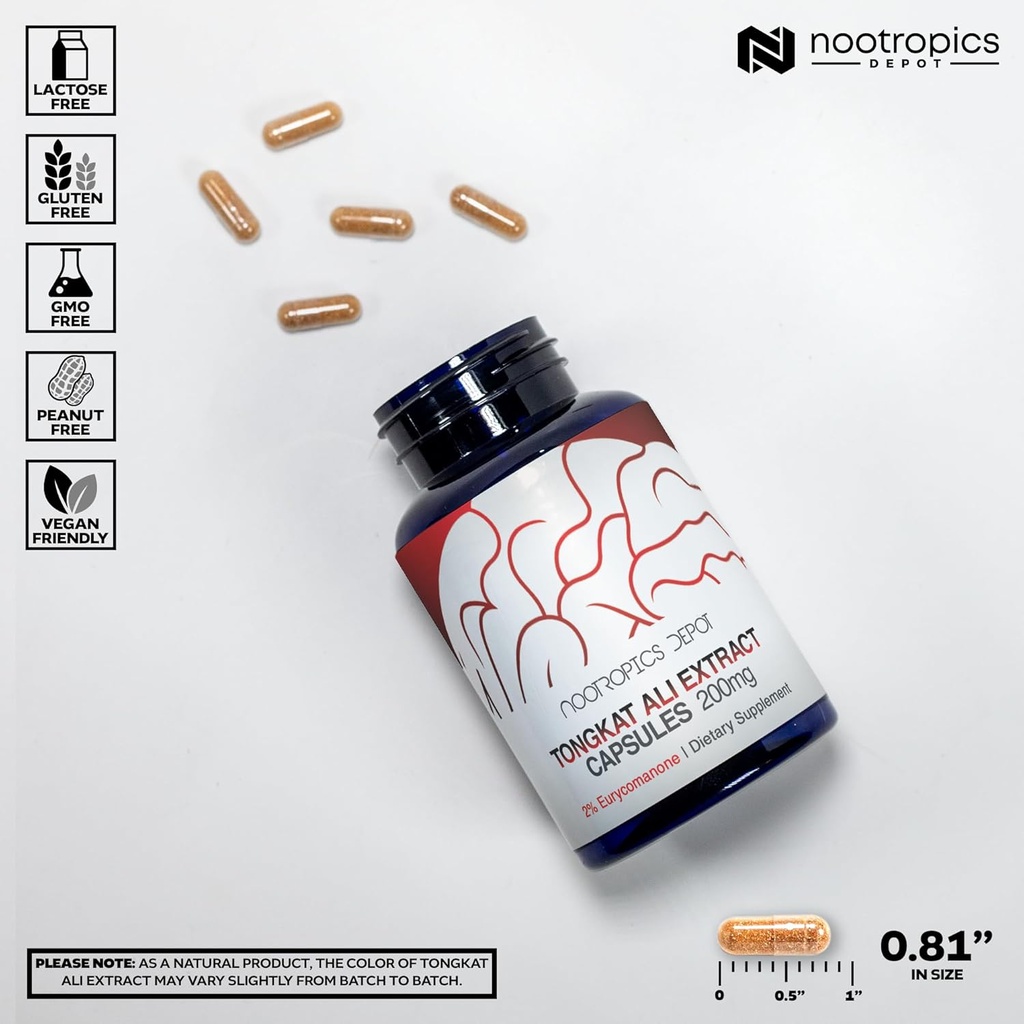 Nootropics Depot Tongkat Ali Extract Capsules | 200mg | 120 Count | 2% Eurycomanone by HPTLC | Eurycoma longifolia Root Extract 4