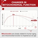 Urolithin A Pro Supplement 1000mg, 60 Softgels Super Antioxidants with Resveratrol & CoQ10 for Energy Production and Healthy Aging- Mitoceutical for Muscle Strength and Skin Care 5