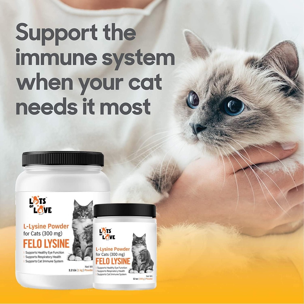 FELO LYSINE - L-Lysine Powder for Cats 300 mg (Thomas Pet Earlier), 1 Kg or 2.2 lb 4