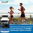 Renew Actives L-Lysine 1000 mg per Serving with Zinc & Vitamin C – Supports Immune Function, Collagen Formation, Antioxidant Support, & Healthy Skin, Hair, & Nails – Made in Canada – 60 Tablets 4