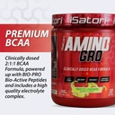 iSatori Amino-GRO BCAA Powder, Branched Chain Amino Acids with Glutamine, Electrolyte Powder & Bio-GRO Bio-Active Peptides for Muscle Growth & Post Workout Recovery, Frosted Lemonade (30 Servings) 6