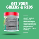 GHOST Greens Powder, Original - 30 Servings - 19 Superfood Greens & Reds Powder, Fruits, Vegetables, Spirulina, & Chlorella, Prebiotics, 10 Billion CFU Probiotic & Digestive Enzymes - Gluten-Free 4