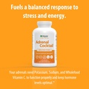 Jigsaw Health Adrenal Cocktail + Wholefood Vitamin C | with Potassium Bicarbonate, Sea Salt, and Acerola Cherry Extract | 360 Capsules | 60 Servings 6