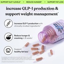Lemme GLP-1 Daily, Clinically Studied Ingredients to Reduce Hunger & Cravings, Promote GLP-1 Production, Support Fat Loss and Weight Management, 1 Month Supply (60 Capsules) 3