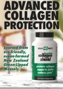 HEALTH DIRECT - BeActive Collagen Shield - 120 Capsules - Advanced Green-Lipped Mussel Supplement for Collagen Protection - Supports Collagen in Skin, Joints and Muscles 3