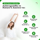 Ashwagandha Gummies, Extra Strength Vitamin D3, Organic Ashwa Root Extract Supplement for Calm Mood Relaxation & Immune Support, Mixed Berry Vegan Sugar Free Chews 60 Count 4