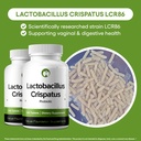 Lactobacillus Crispatus Probiotic Supplement 240 Tablets 3 Billion CFU Probiotics for Women Supports Vaginal Digestive & Gut Health (240, Lactobacillus Crispatus) 3