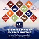 800mg Shilajit Supplement-Shilajit Pure Himalayan Organic Shilajit Resin with Maximum Potency,Original from Himalayan with 85+Trace Minerals & Fulvic Acid for Focus & Energy,Immunity,3 Packs 5