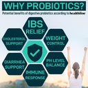 Digestive Enzymes with Probiotics and Prebiotics and Vegan Probiotic Plus B12 Enhanced Digestive and Gut Health Bundle 6