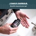 Ancient Nutrition Probiotics for Women, Once Daily Women's Probiotics 30ct, Digestive Support and Reduces Occasional Bloating, Made with Chaste Tree Berry and Amla Berry, 25 Billion CFUs* 4