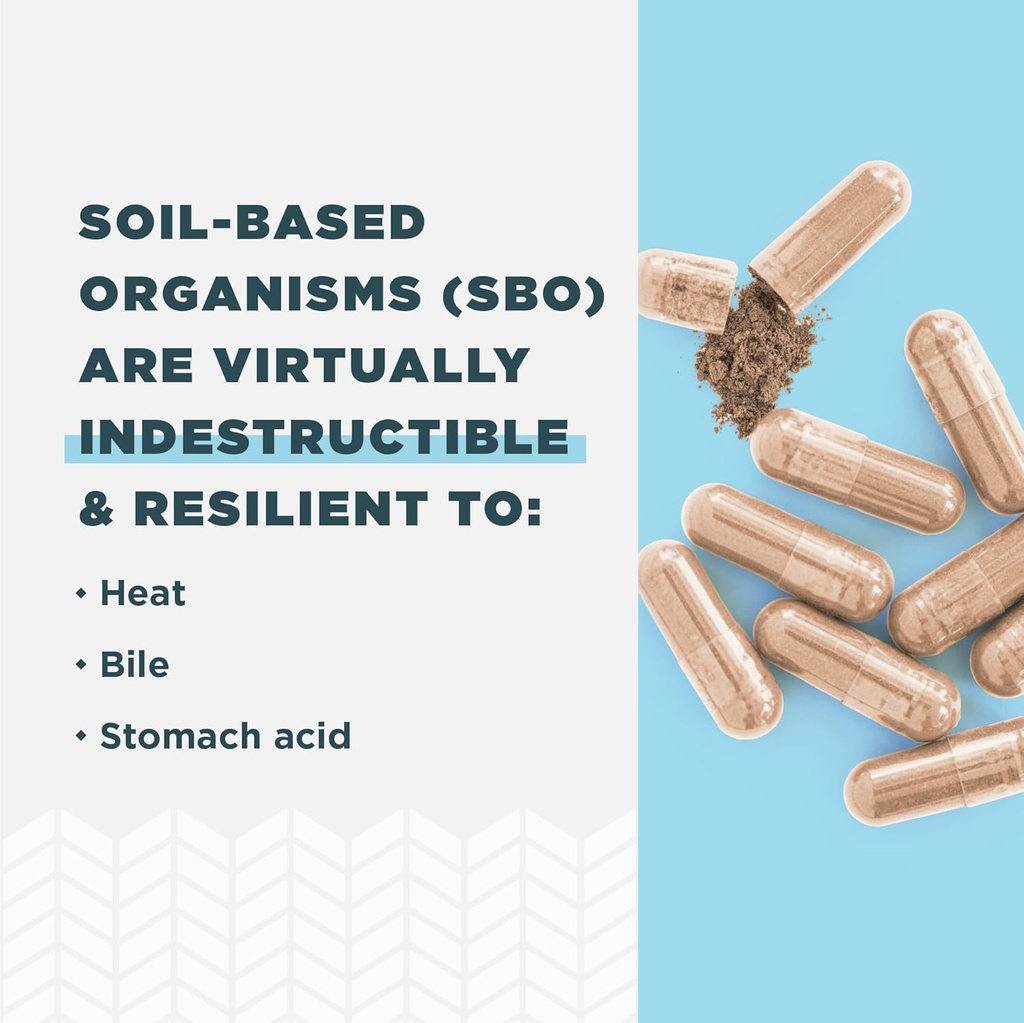 Ancient Nutrition Probiotics for Women, Once Daily Women's Probiotics 30ct, Digestive Support and Reduces Occasional Bloating, Made with Chaste Tree Berry and Amla Berry, 25 Billion CFUs* 6