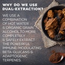 Surthrival: Chaga Mushroom Extract Forager's Quest, 50 mL, Featuring Nature’s Immune-Boosting, Anti-Viral, Anti-Fungal Medicinal Mushroom 6