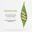 Secrets of the Tribe White Willow Capsules 800 mg USDA Organic White Willow (Salix Alba) Dried Bark (120 Capsules) 4