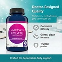 MD Life L-Methylfolate 7.5 mg Supplement - Professional-Grade Active L Methylfolate Supplement - 90 Capsules - L-Methylfolate 7.5mg - Maximum Potency MTHFR W/ Essential Amino Acids 5