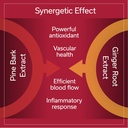 Long-Haul Circulation (30 Vegan Caps) + Immune Activator (30 Vegan Caps) 6