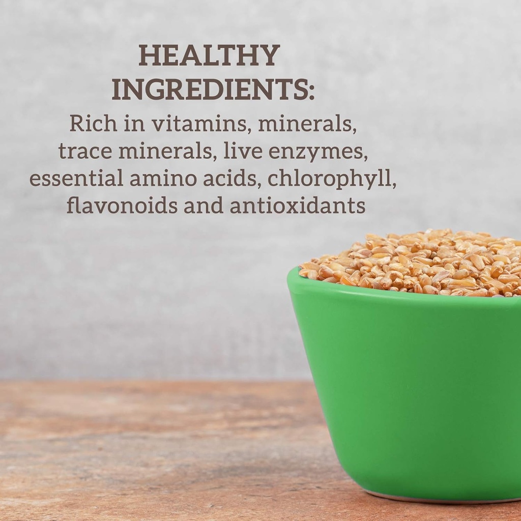 Hallelujah Diet Organic BarleyMax - Barley Grass Juice and Alfalfa Juice Powder, Vegan Formula, Plant-Based Dietary Supplement, Health Food Products, Original, 8.5 Ounce Bottle (60 Day Supply) 6