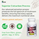 Sayan Siberian Chaga and Organic Reishi Mushroom Extract Supplement – 90 Capsules/440mg Each - Wild-Harvested, Antioxidant Blend for Immune System Support + Natural Energy Boost, Non-GMO, Gluten Free 4