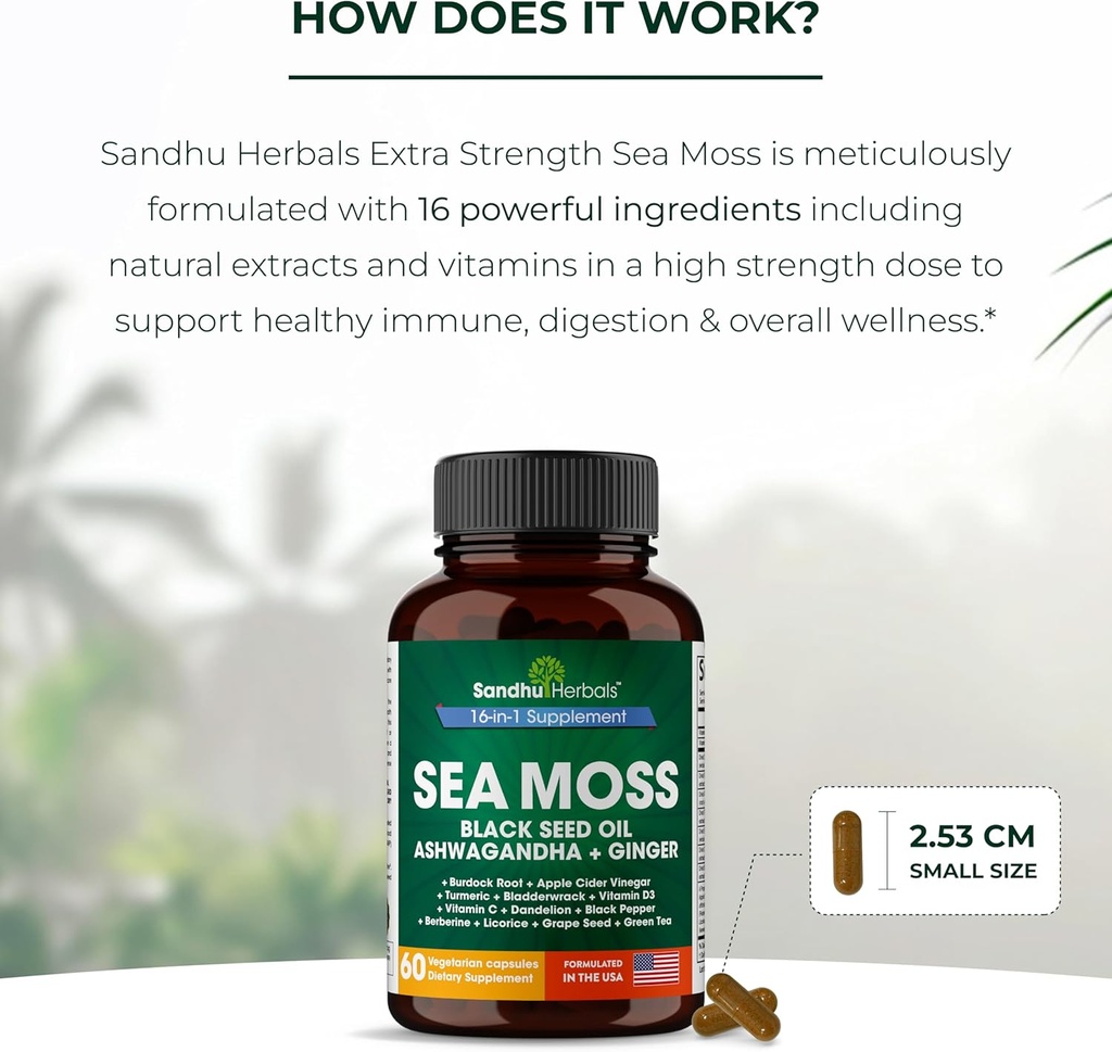 SANDHUHERBALS Sea Moss Capsules with Black Seed Oil Ashwagandha Ginger Burdock Root | Advanced Seamoss 60 Count | All Men Women Age 6