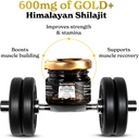 Better Alt Pure Himalayan Shilajit Gold+(30gm)|Enhances Recovery & Boosts Strength|16,000 ft Sourced Blend with Ashwagandha, Safed Musli,Gokshura|Shilajit gold for men & women|Vegan & Lab Tested-600mg 6