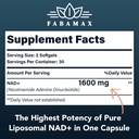 1600 mg Liposomal NAD Supplement, 98% Pure NAD+ Supplement, Superior Absorption, Alternative to Nicotinamide Riboside or NADH to Boost NAD+ for Aging Defense, Energy, Longevity, 180 Softgels 3