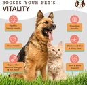 Natural Dog Company Wild Alaskan Salmon Oil & Probiotic Chews for Dogs Bundle: Salmon Oil & Probiotics - Healthy Skin and Coat and Digestive Health Combo for Dogs of All Breeds and Sizes 5