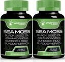 Irish Sea Moss Capsules, 17-in-1, Seamoss Black Seed Oil, 120 Count, Ashwagandha Burdock Root Organic Bladderwrack Capsules | Organic Sea Moss Advanced, Immune and Blood Pressure Support 2