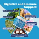 Supplements for Dogs, Dog Supplements Super Blend Powder 9 in 1, Vitamins for Dog, with Iceland Fish Powder, Support Gut Health, Hip and Joint, Multivitamin Support, 6.35oz, Fish Flavor 5