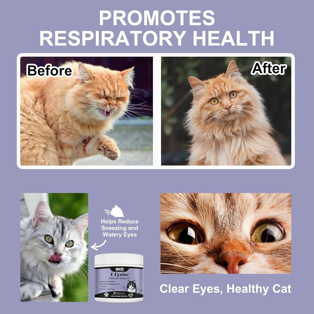 L-Lysine Powder for Cats, Immune Support for Cats, Supports Immune and Eye Health Supplement, Lysine Aid with Reduces Eye Discharge, Alleviates Sneezing and Runny Nose 3