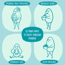 KOS USDA Organic Spirulina Powder, Natural Taste - 100% Pure, Non-Irradiated Vegan Green Blue Spirulina Superfood Powder, Plant Based - Rich in Protein, Vitamins, Antioxidants & Fiber, 60 Servings Bag 6