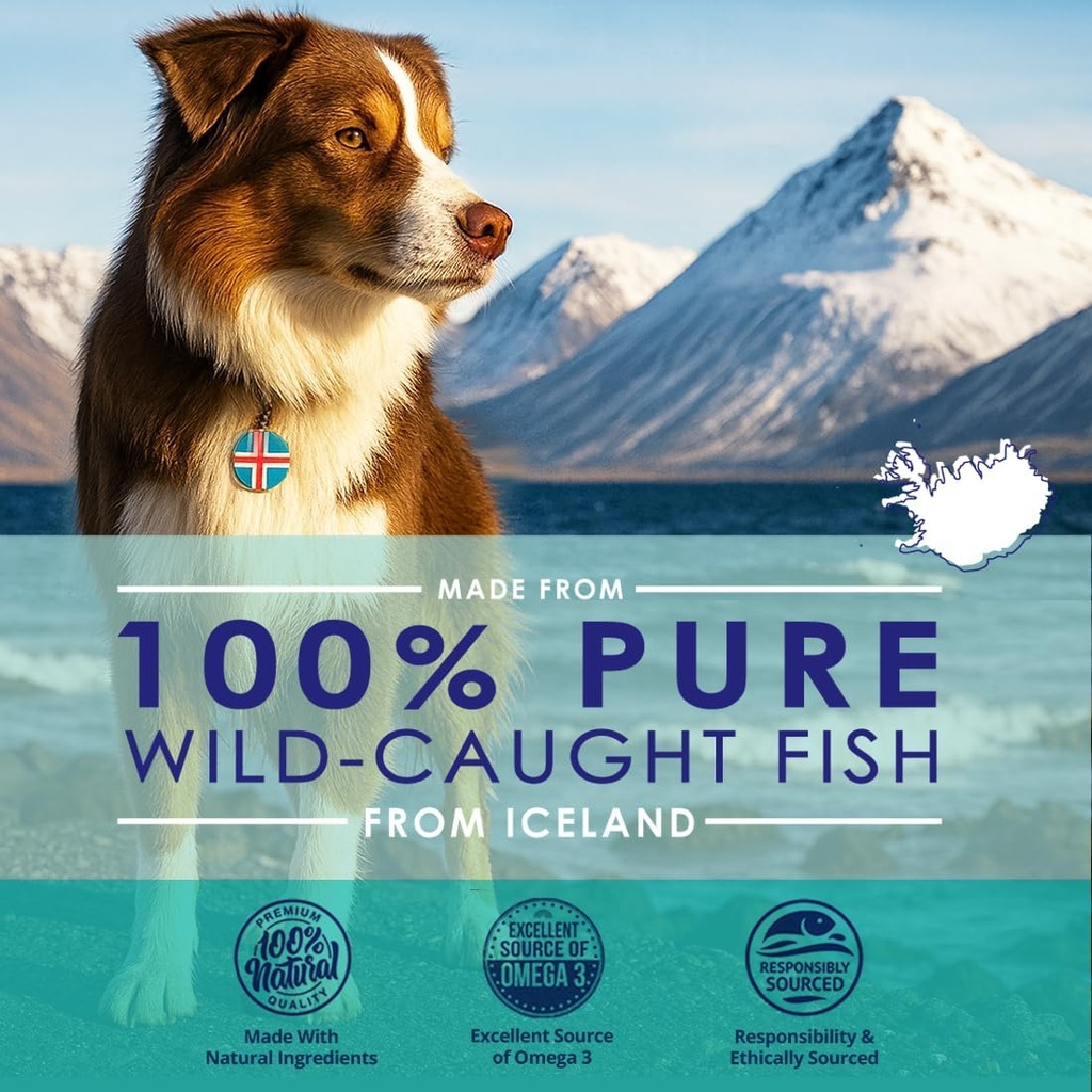 Liquid Fish Oil for Dogs with Omega 3, 6 & 9 Fatty Acids, Wild Caught from Iceland, Skin and Coat Supplement for Shedding, Itchy Skin, Allergies, Brain and Heart Health, Rich in EPA + DHA - 12 oz 3