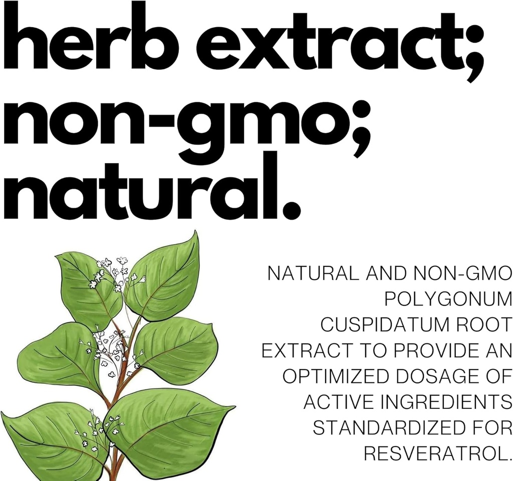 Ultra High Purity Resveratrol Capsules - 99% Trans-Resveratrol - Japanese Knotweed Extract - Support Immunity, Support Healthy Aging - 120 Caps Reservatrol Supplement 6