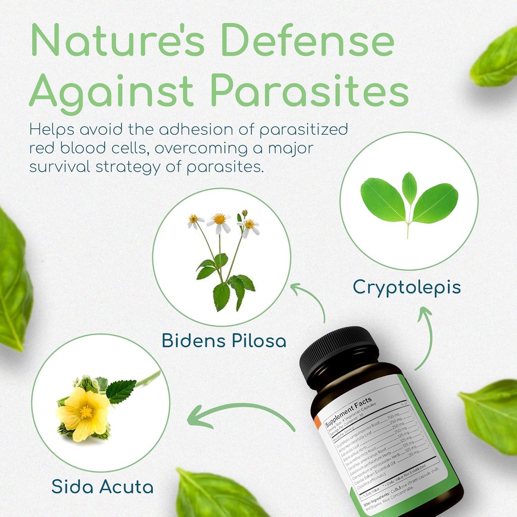 Cryptolepis Synergy, Immune Support Vitamins, Immune System Booster for Adults, Liver, Lymphatic, & Immune Support Supplement, Supports Lyme & Natural Parasite Defense, 120 Capsules 4