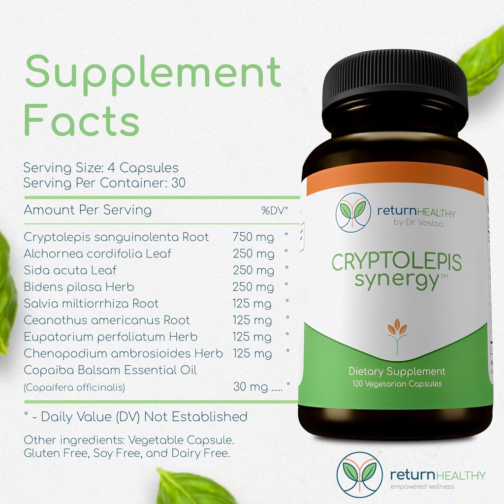 Cryptolepis Synergy, Immune Support Vitamins, Immune System Booster for Adults, Liver, Lymphatic, & Immune Support Supplement, Supports Lyme & Natural Parasite Defense, 120 Capsules 6